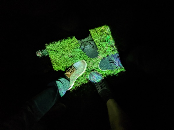 four feet in a box of light projected into the grass